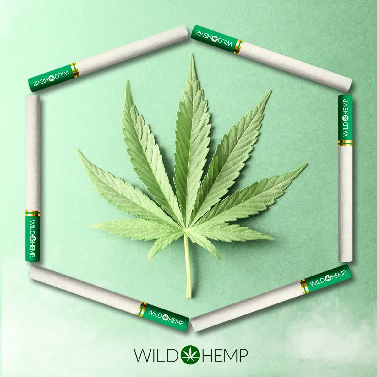 Are there CBD cigarettes with THC inside? Wild Hemp