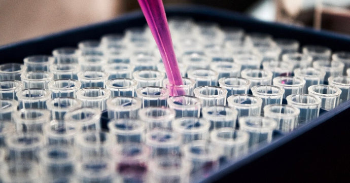 Broad Spectrum CBD vs CBD Isolate - Which is best?