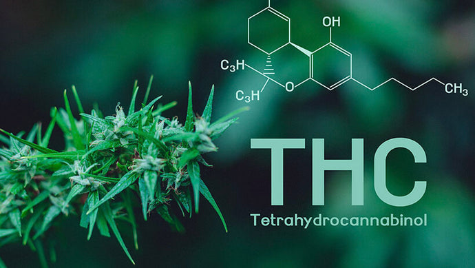 What is delta 8 THC: Difference between Delta-8 and Delta-9 THC