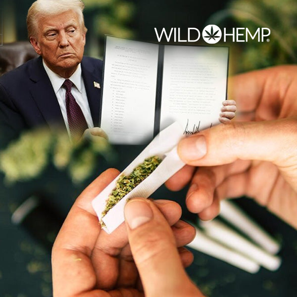 How Trump’s Tariffs Affect the Hemp, CBD & Cannabis Industry