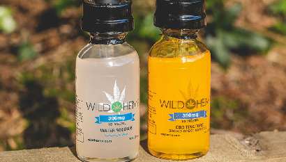 CBD Tinctures - All you need to know