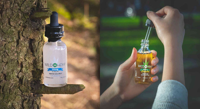 What are Water Soluble CBD Tinctures?