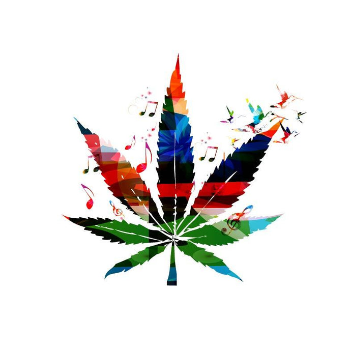 Which stoner musician are you?