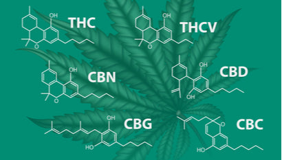 A-Z of Cannabinoids - All you need to Know