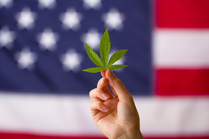 Wild Hemp’s Guide to CBD Legality Across the United States