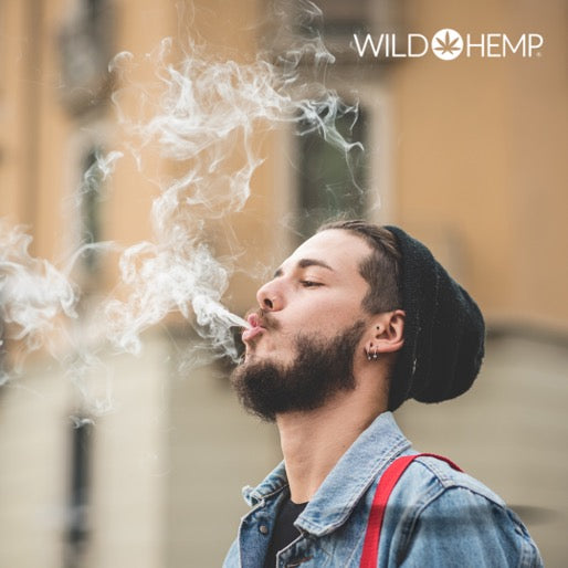 5 Juicy Hemp Wraps tips | Roll blunts like an expert | by Wild Hemp