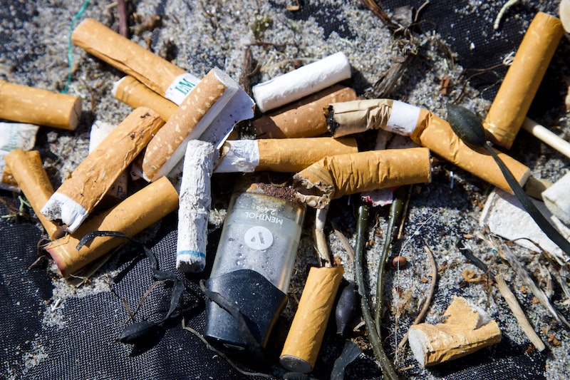 Do CBD Cigarettes Have an Expiration Date? What You Need to Know – Wild Hemp