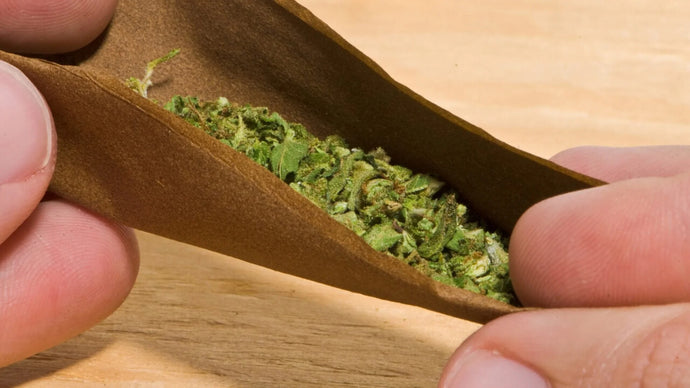 Are hemp rolling papers better for the environments?